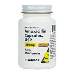 Amoxicillin for Dogs & Cats  Generic (brand may vary)